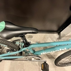 ビアンキ　イーグル　20 Bianchi EAGLE  キッズ自転車　子供用