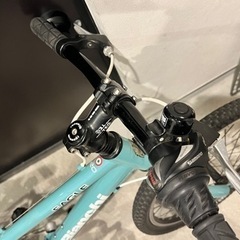 ビアンキ　イーグル　20 Bianchi EAGLE  キッズ自転車　子供用