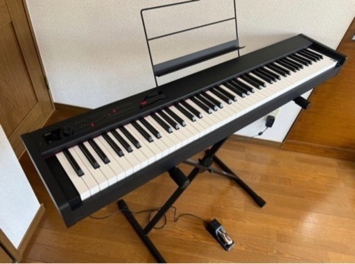 コルグD1 2020 | pcmlawoffices.com