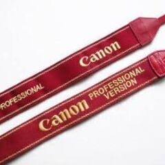 (激レア)Canon Proffesional versionの...