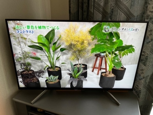 SONY BRAVIA KJ-43X8500G 保証あり