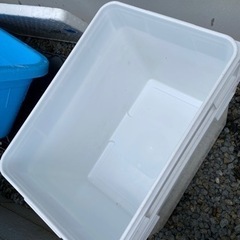 値引き】メダカ飼育用　白容器　珍しい白色のタライ型容器　めだか