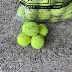 練習用硬式テニスボール無料