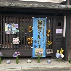 福猫マルシェ開催中です！奈良町物語館🐈‍⬛