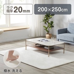 114.新品♡ラグ　低反発　ベージュ　200×250cm