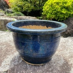 植木鉢　　陶器