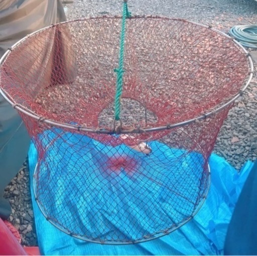 活かしカゴ　魚網