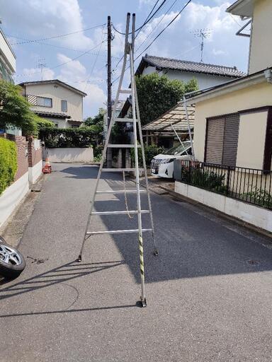 剪定の脚立