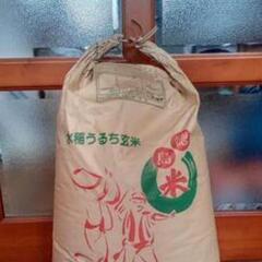 徳島県産　令和5年産　あきさかり玄米30㎏