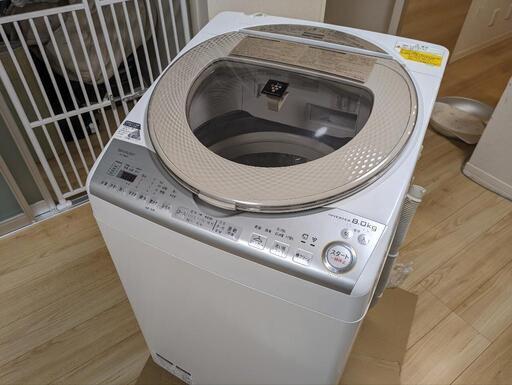 【値下げ厳しいです】SHARP プラズマクラスター 洗濯機 8キロ 使用期間1年