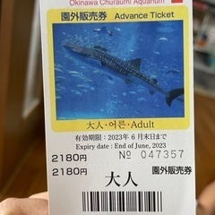 美ら海水族館チケット 大人2枚あります