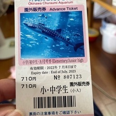 沖縄美ら海水族館チケット 3枚