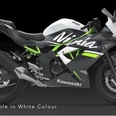 【ネット決済】ninja250 SL