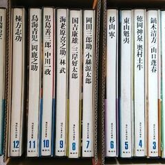 集英社 超ワイド版 現代日本の美術 14冊セット