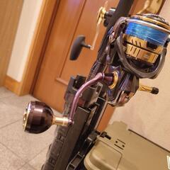 6/30までソルティガロッド カルディア 替えスプール