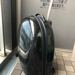 黒の丸いスーツケース