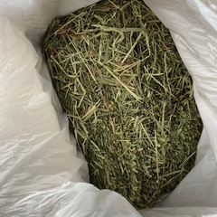 牧草5kg【一番刈り】値下げ