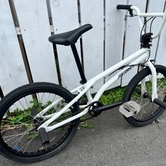 ARES bmx ashura フラット車