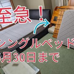 【至急！】6月30日まで 木製ベッド
