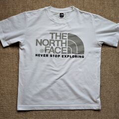 THE NORTH FACE Color Dome Tee　美品