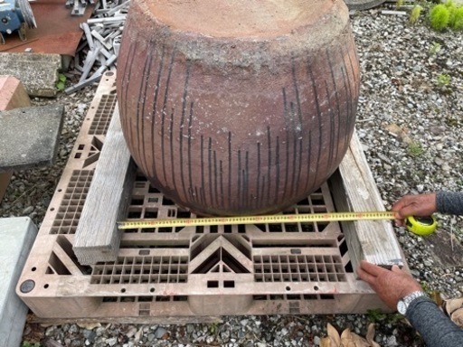 水瓶 睡蓮 鉢 メダカ 金魚 ビオトープ にいかがですか? 水瓶 睡蓮 鉢 メダカ 金魚 ビオトープ にいかがですか?