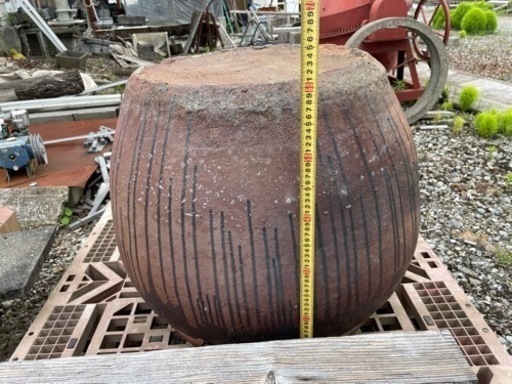 水瓶 睡蓮 鉢 メダカ 金魚 ビオトープ にいかがですか？