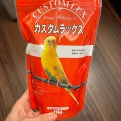 セキセイインコのエサ