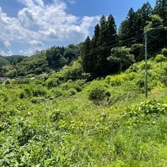 【霊山神社湧き水の出る菜園・果樹園】納屋＆農具付き、古家も…