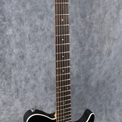 Ibanez FR1620/Black