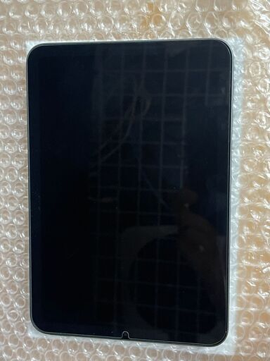 美品 Apple iPad mini (第６世代) 256GB GRAY