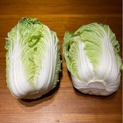【残り２点】白菜（２個）