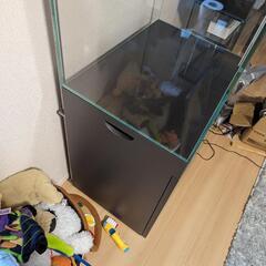 ada ウッドキャビネット 水槽台 水槽