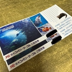 新江ノ島水族館招待券2枚