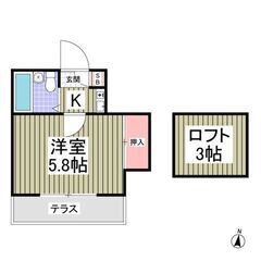 💙💙《1K》厚木市🐻東京農業大学徒歩圏内！ロフト付き！フリーレン...