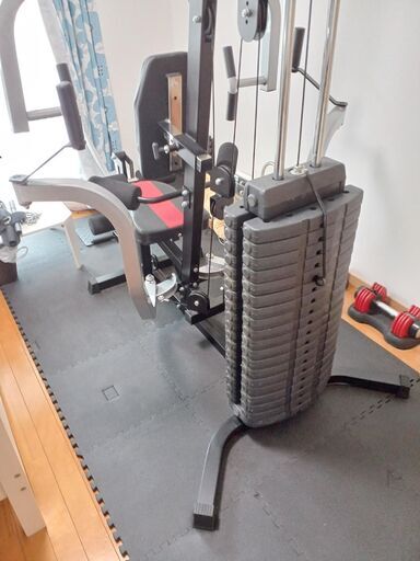 IROTEC（アイロテック）オリンピアジムCORE 2020/ウエイトMAX100KG ホームジム 重り100KG ベンチプレス マルチジム 筋