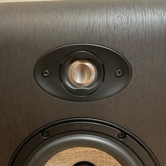 Focal Shape 65 スピーカー ペア