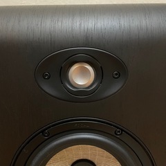 Focal Shape 65 スピーカー ペア