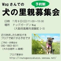 犬の保護活動の市民ボランティアグループ「犬の合宿所in高槻」主催...