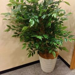 フェイクグリーン 植木鉢つき 人工観葉植物 5点セット
