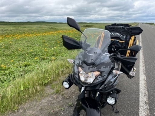 ヴェルシスＸ250ツアラー　デジカモ限定車　なんだかとってもローダウン