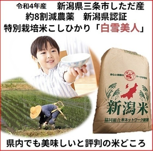 Hachig san 減農薬　新潟こしひかり玄米20kg 令和4年 新潟県三条市旧しただ村産　減農薬　新潟県認証　特別栽培米こしひかり100% 白雪美人