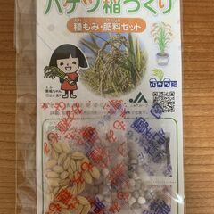 自宅でお米作り「バケツ稲づくり」種もみセット