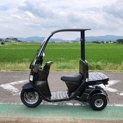 ジャイロキャノピーTA02 岐阜県