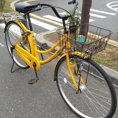 🚲💨幸せを呼ぶ黄色の自転車❓❓🤔
