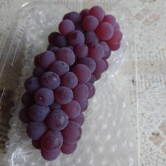 デラウェア🍇安心院産