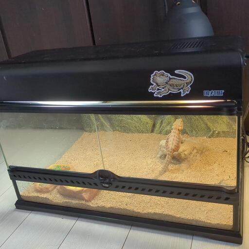 フトアゴヒゲトカゲ用のケージ