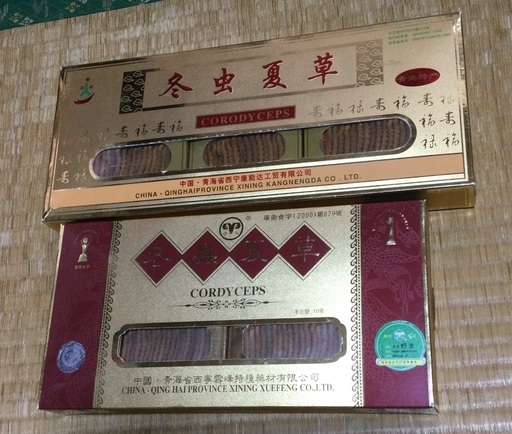 昔買った冬虫夏草2箱セット　未使用