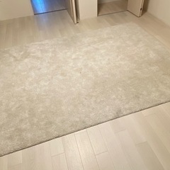 IKEA ラグ 170x240 cm+ニトリのクッション２つ