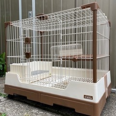 うさぎ、モルモットハウス