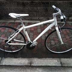 背景布+トリミングチョーカーセットタツノオトシゴ、貝殻、海、7月